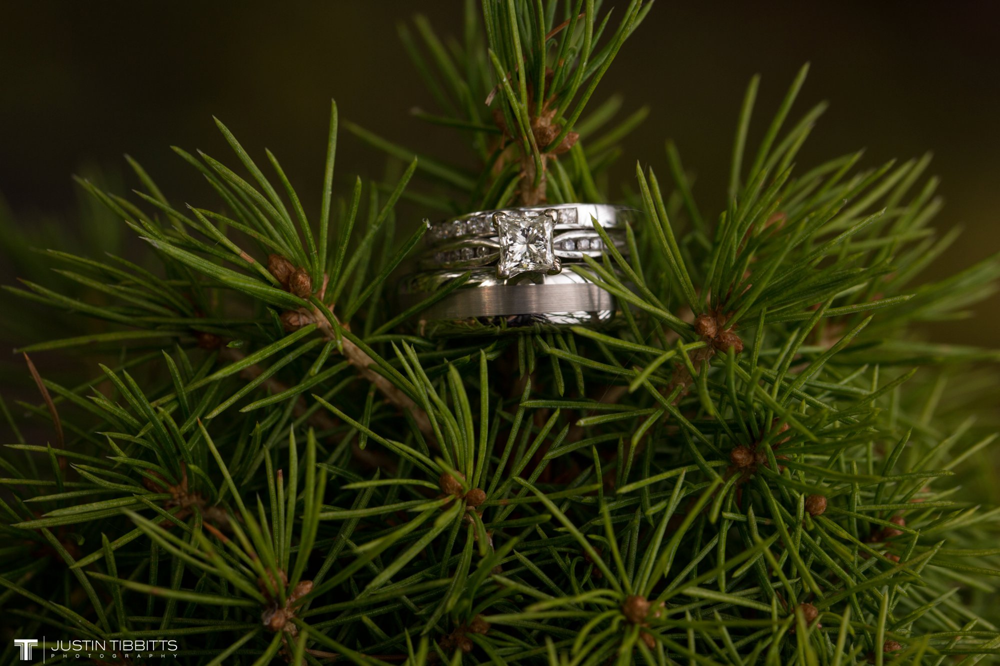 Justin Tibbitts Photography Rob and Brittany's Averill Park, NY Wedding_0346